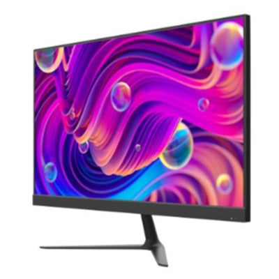 Monitor 23,8" HikVision mod. DS-D5024F2-BV2S, 100Hz, FHD, 250cd/mq, Casse MM, VGA + HDMI, DC 12Vdc